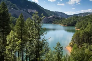 embalse del molino de chincha