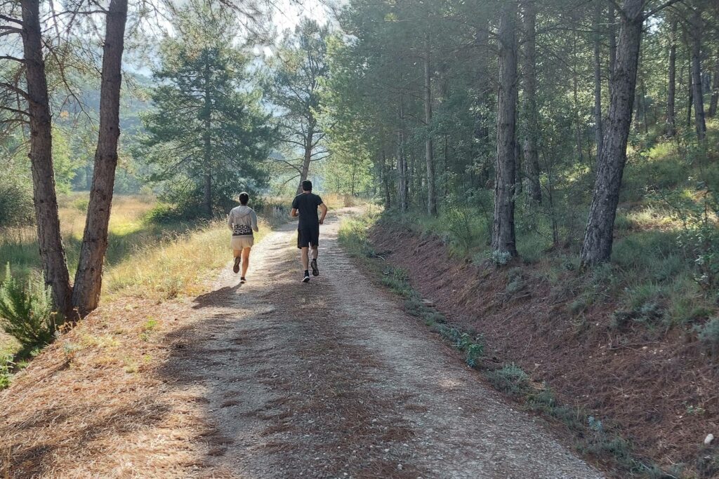 Pareja corriendo entre los arboles