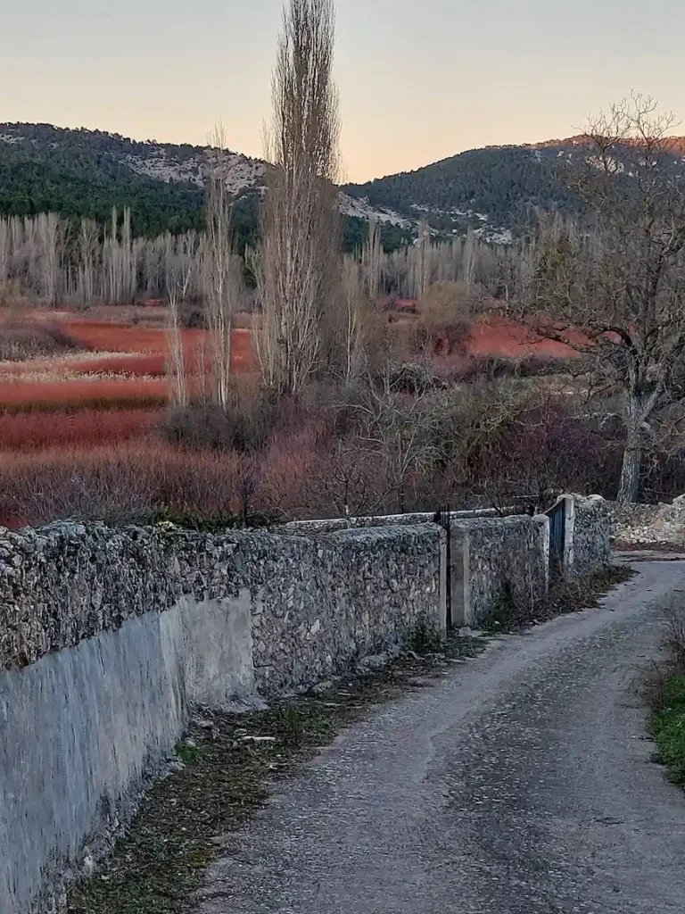 ruta del mimbre en cañamares