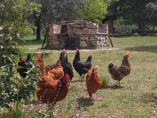 Cabañas en Cañamares