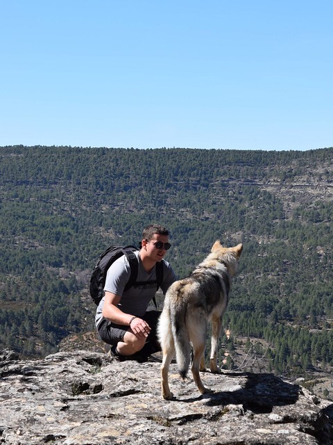 Cabañas-rurales-que-admiten-perros-7