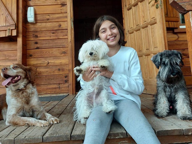 Cabañas-rurales-que-admiten-perros-4