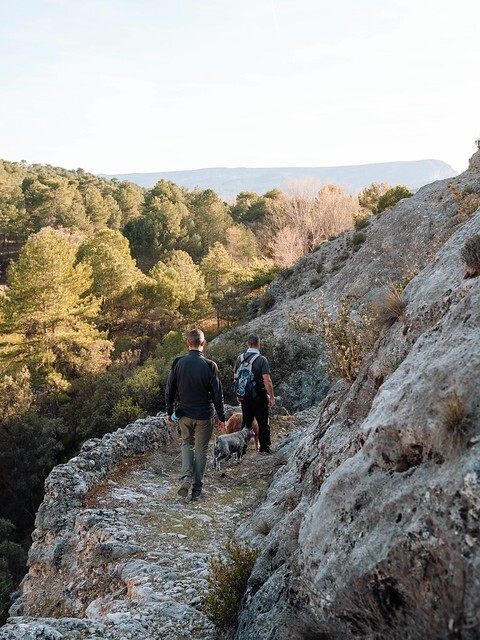 Cabañas-rurales-que-admiten-perros-14
