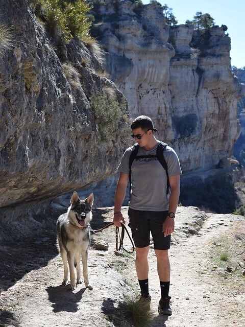 Cabañas-rurales-que-admiten-perros-6