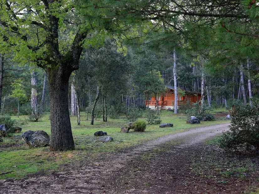 Regala Experiencias de Naturaleza