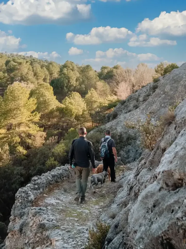 Camino viejo de Cañamares a Fuertescusa