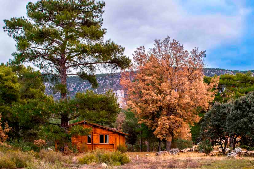 Imagen de una hermosa cabaña de madera rodeada de exuberante vegetación en El Llano de los Conejos. La cabaña ofrece vistas panorámicas de las montañas y está situada en un entorno natural tranquilo. Con su interior rústico y acogedor, la cabaña invita a relajarse junto a la chimenea y disfrutar de la serenidad de la naturaleza. Perfecta para desconectar y conectarse con lo esencial, esta cabaña es un refugio ideal para aquellos que buscan paz y armonía en medio de un entorno natural impresionante.
