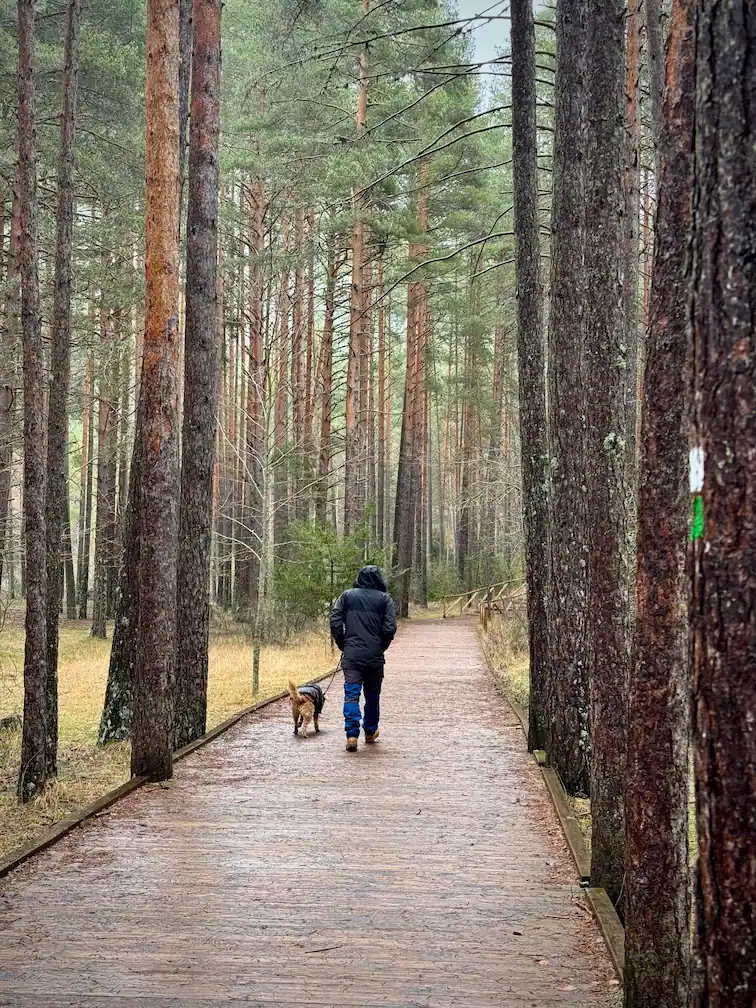 Nacimiento del Rio Cuervo en Invierno