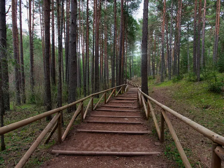 Ruta por el Nacimiento del Rio Cuervo