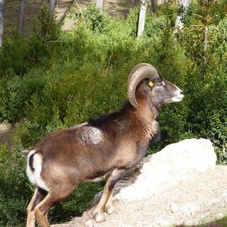 Parque-el-Hosquillo-6