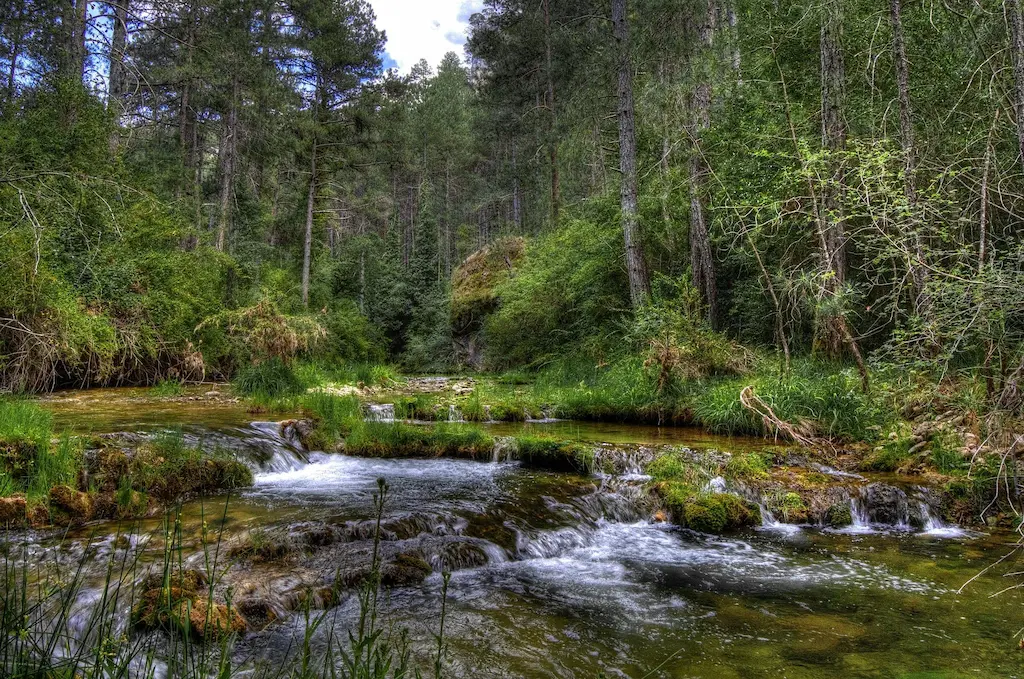 Naturaleza de la Serrania de Cuenca